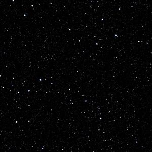 Meet your Posher, Grey